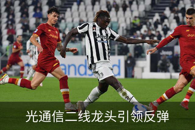 光通信二线龙头引领反弹